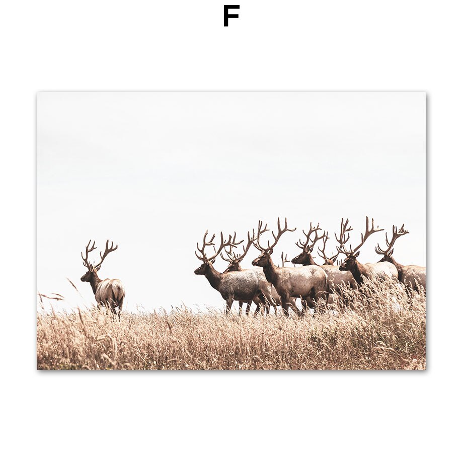 Deer & Dandelion Prints freeshipping - Mandala Bloom