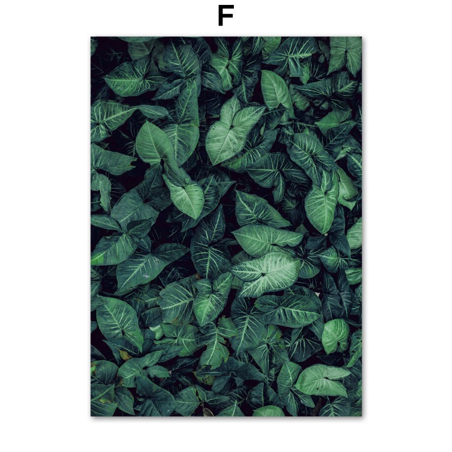 Green Lake Mountain Canvas Wall Art freeshipping - Mandala Bloom