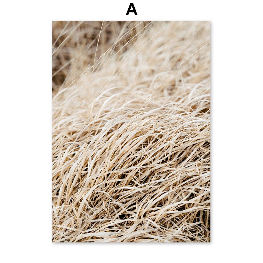 Withered Wheat and Landscape Prints freeshipping - Mandala Bloom