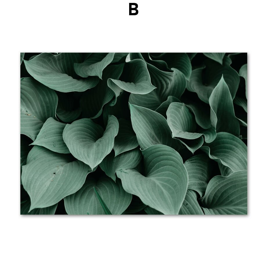 Green Lake Mountain Canvas Wall Art freeshipping - Mandala Bloom