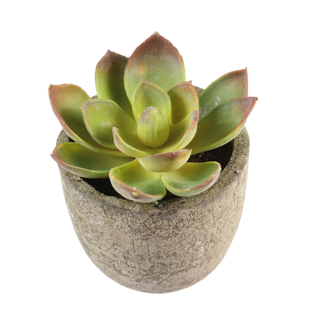 Artificial Succulent Plants Mini Artificial Pots freeshipping - Mandala Bloom