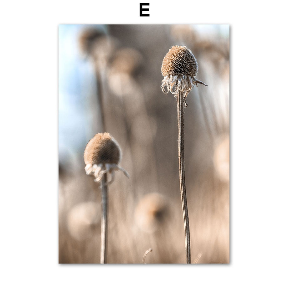 Deer & Dandelion Prints freeshipping - Mandala Bloom