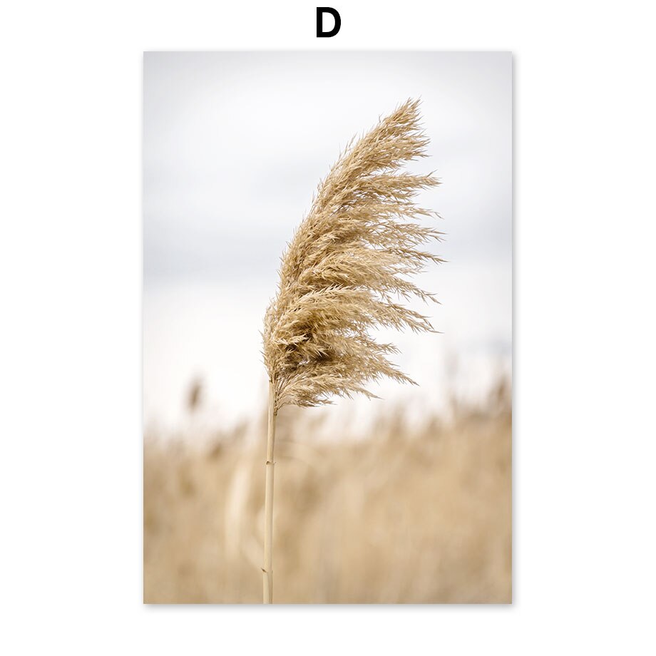 Withered Wheat and Landscape Prints freeshipping - Mandala Bloom
