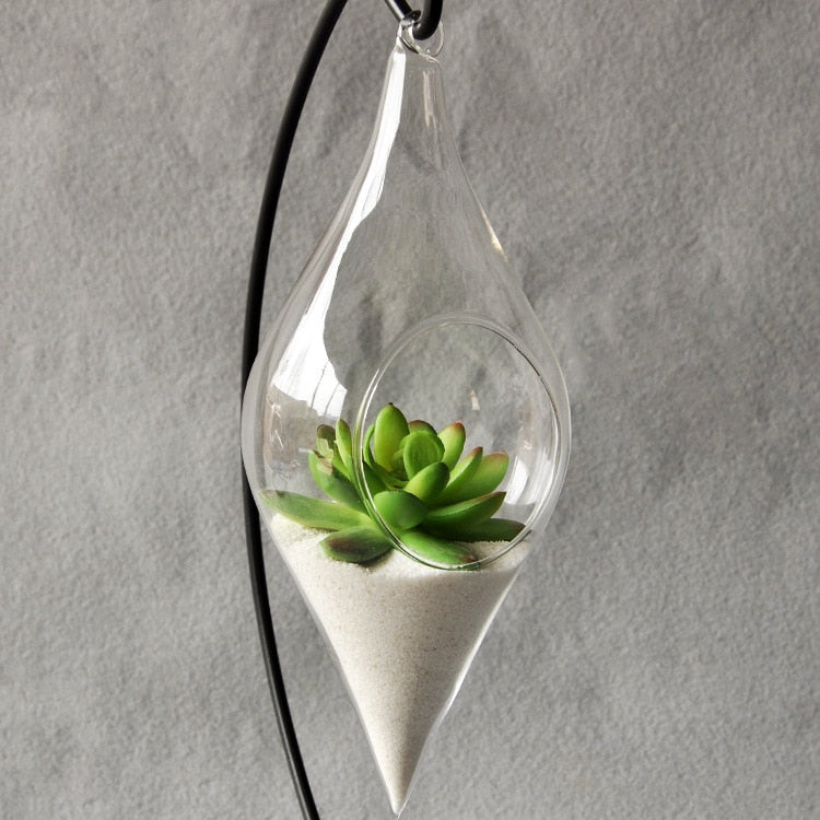 Hanging Glass Vase (Terrarium Hydroponic Plant) freeshipping - Mandala Bloom