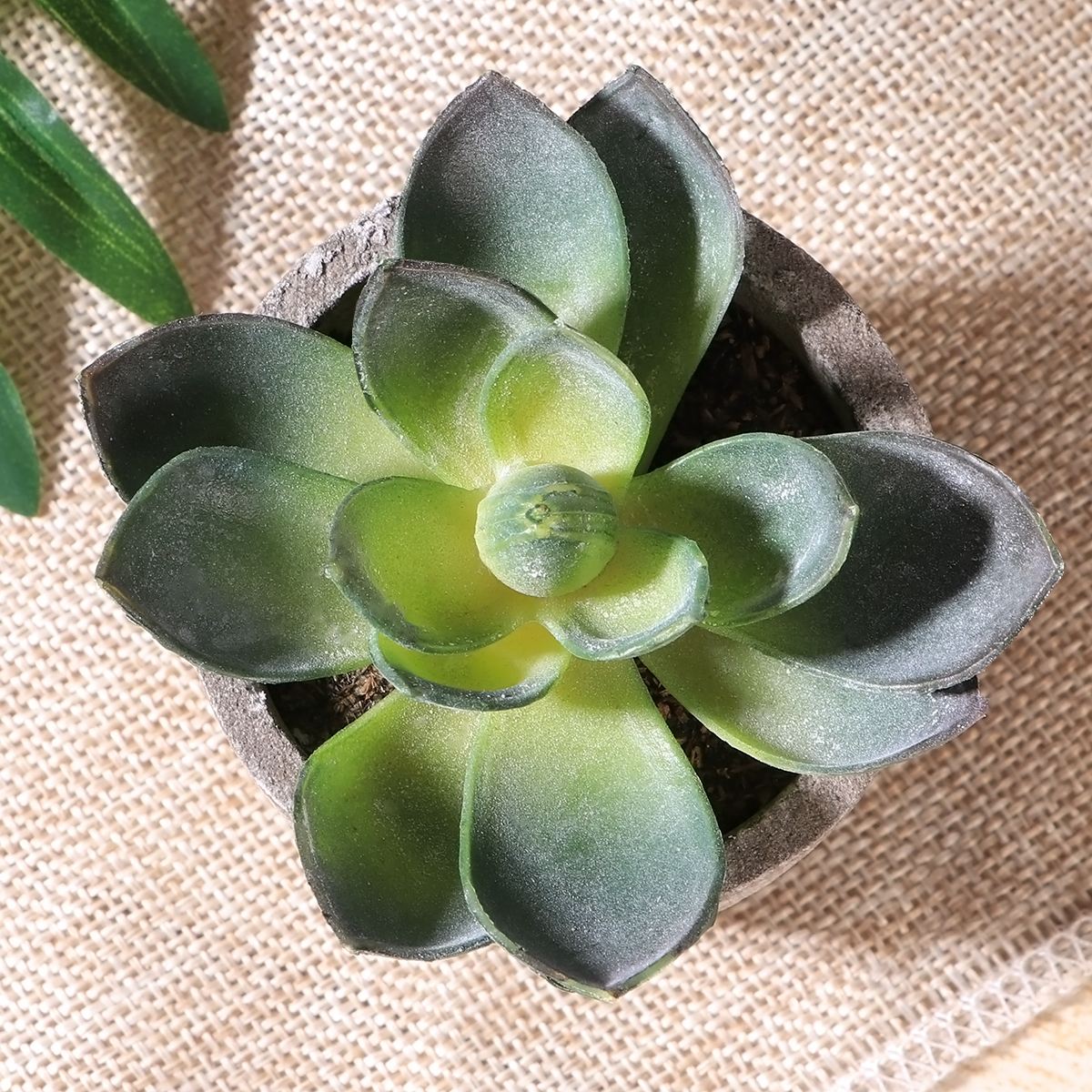 Artificial Succulent Plants Mini Artificial Pots freeshipping - Mandala Bloom