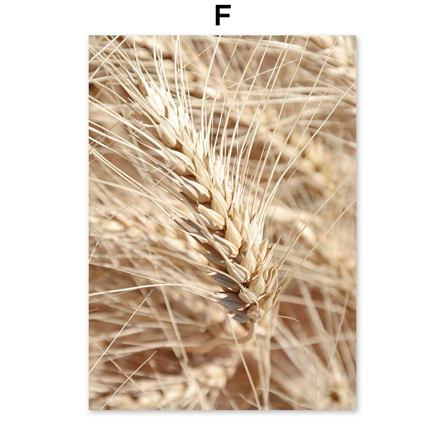 Withered Wheat and Landscape Prints freeshipping - Mandala Bloom