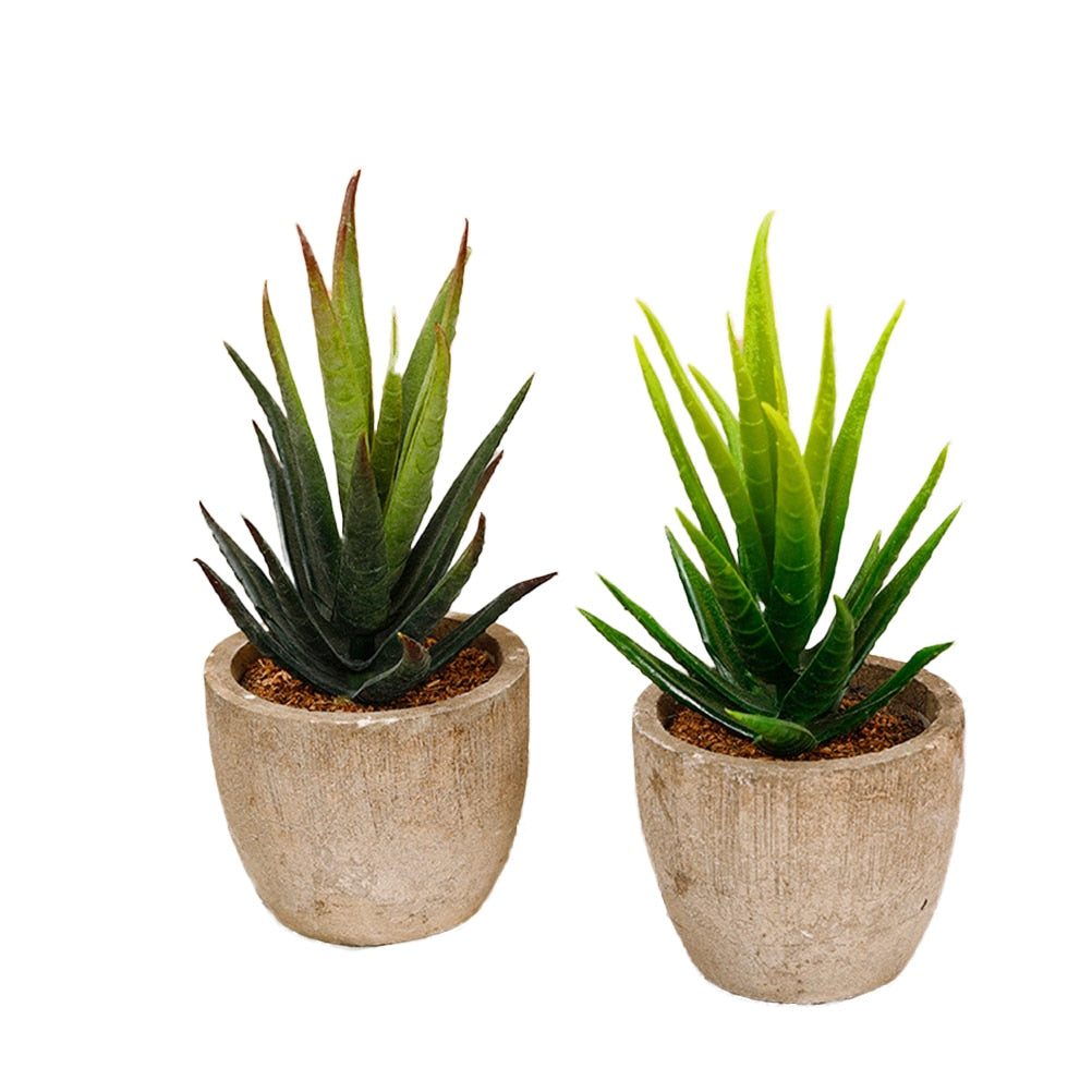 Artificial Succulent Plants Mini Artificial Pots freeshipping - Mandala Bloom